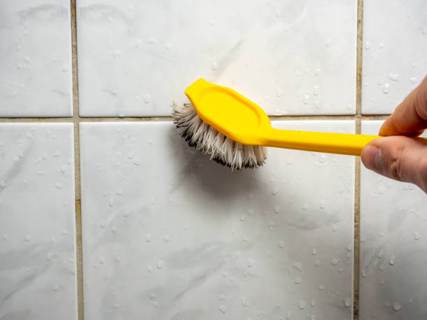 Darien Downtown, CT Mold Removal Company