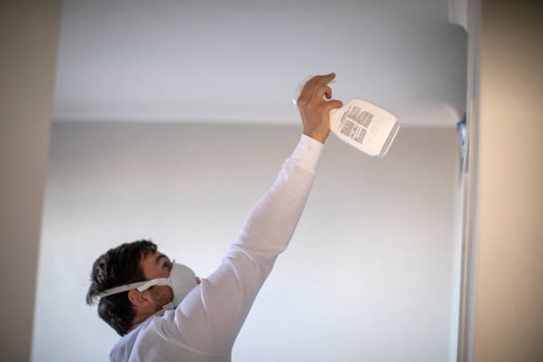 Best Mold Removal Near Me  in Darien Downtown, CT