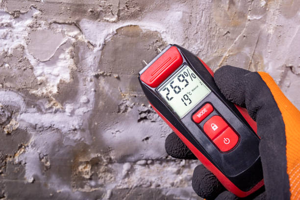Mold Removal Process in Darien Downtown, CT