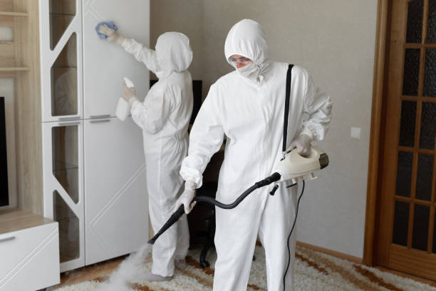 Best Mold Damage Repair  in Darien Downtown, CT