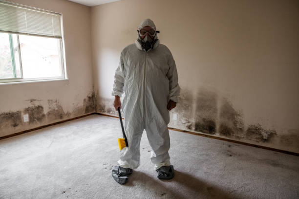 Best Emergency Mold Removal  in Darien Downtown, CT